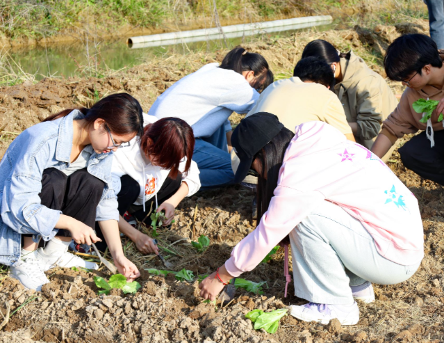 统筹生产实践自愿服务聚集工作体会项目化生产学段层层递进